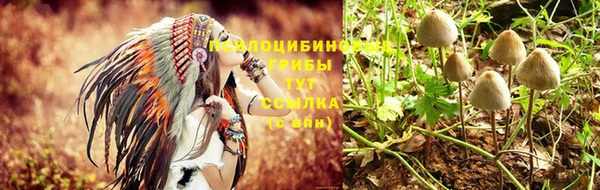 прущие крисы Зеленодольск